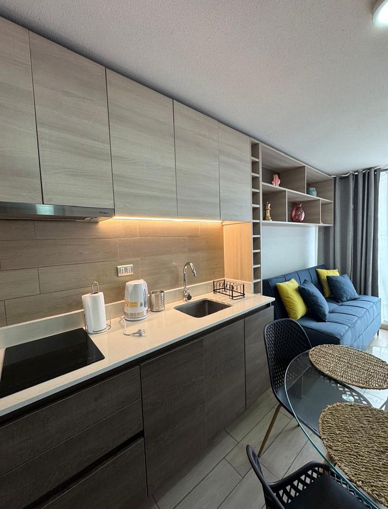 NR Apart Tocornal 810